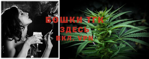 соль ск Арсеньев