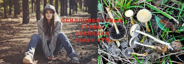 mdma Осташков