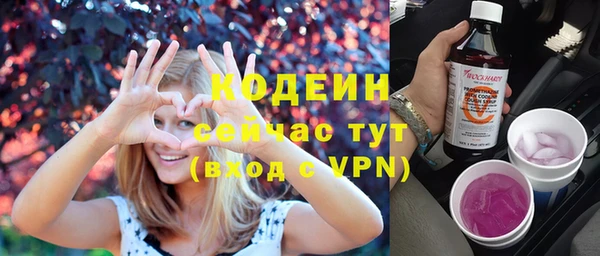 соль ск Арсеньев